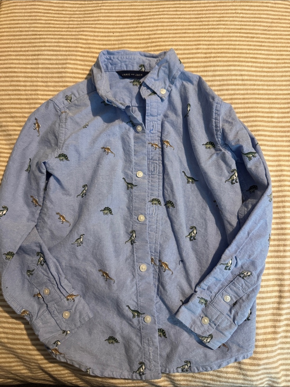 Janie and Jack Light Blue Boys' Dino Embroidered Button-Down Shirt